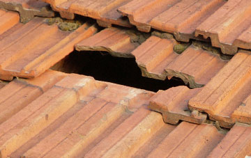 roof repair Mynd, Shropshire